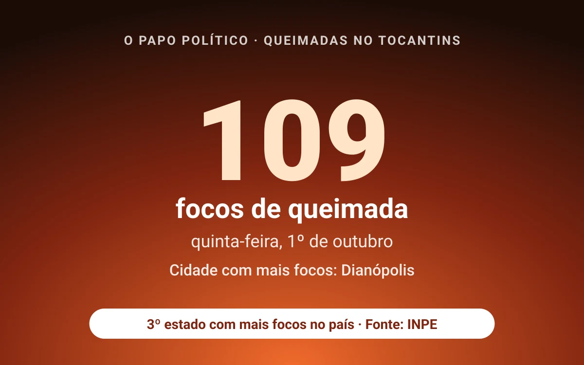 Tocantins registra 109 focos de queimada na quinta-feira (1º); Dianópolis lidera
