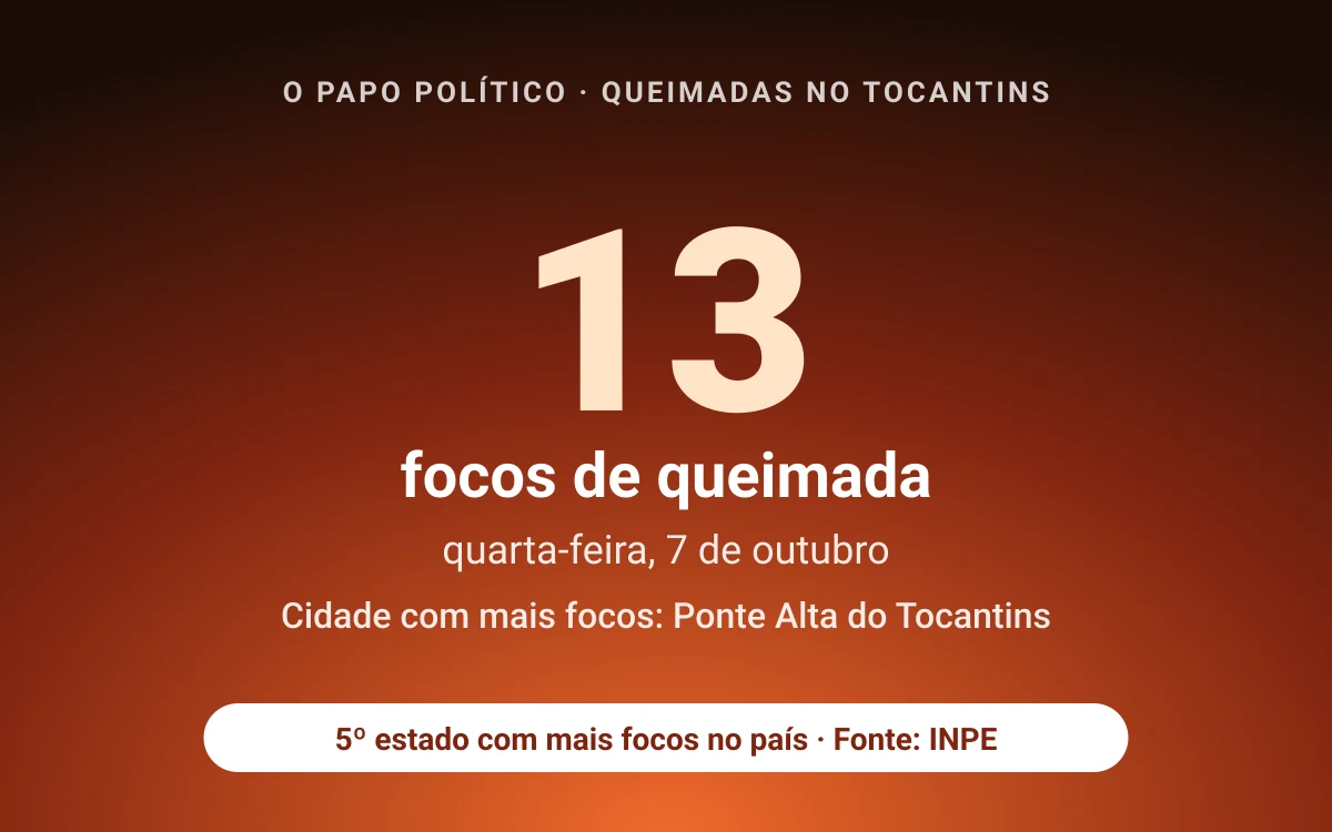 Tocantins registra 13 focos de queimada na quarta-feira (7); Ponte Alta do Tocantins lidera