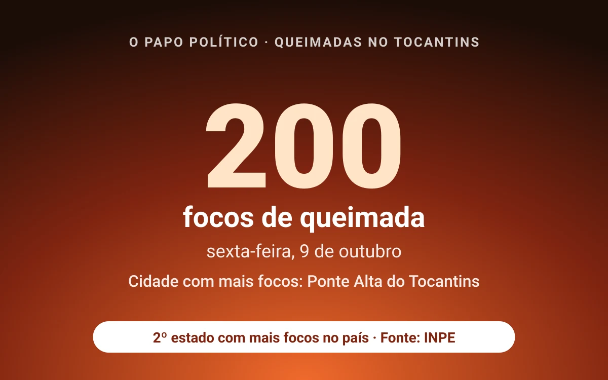 Tocantins registra 200 focos de queimada na sexta-feira (9); Ponte Alta do Tocantins lidera