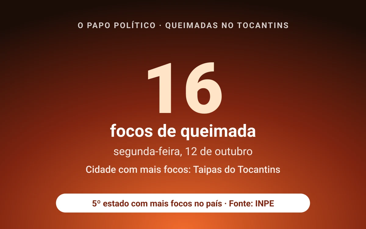 Tocantins registra 16 focos de queimada na segunda-feira (12); Taipas do Tocantins lidera