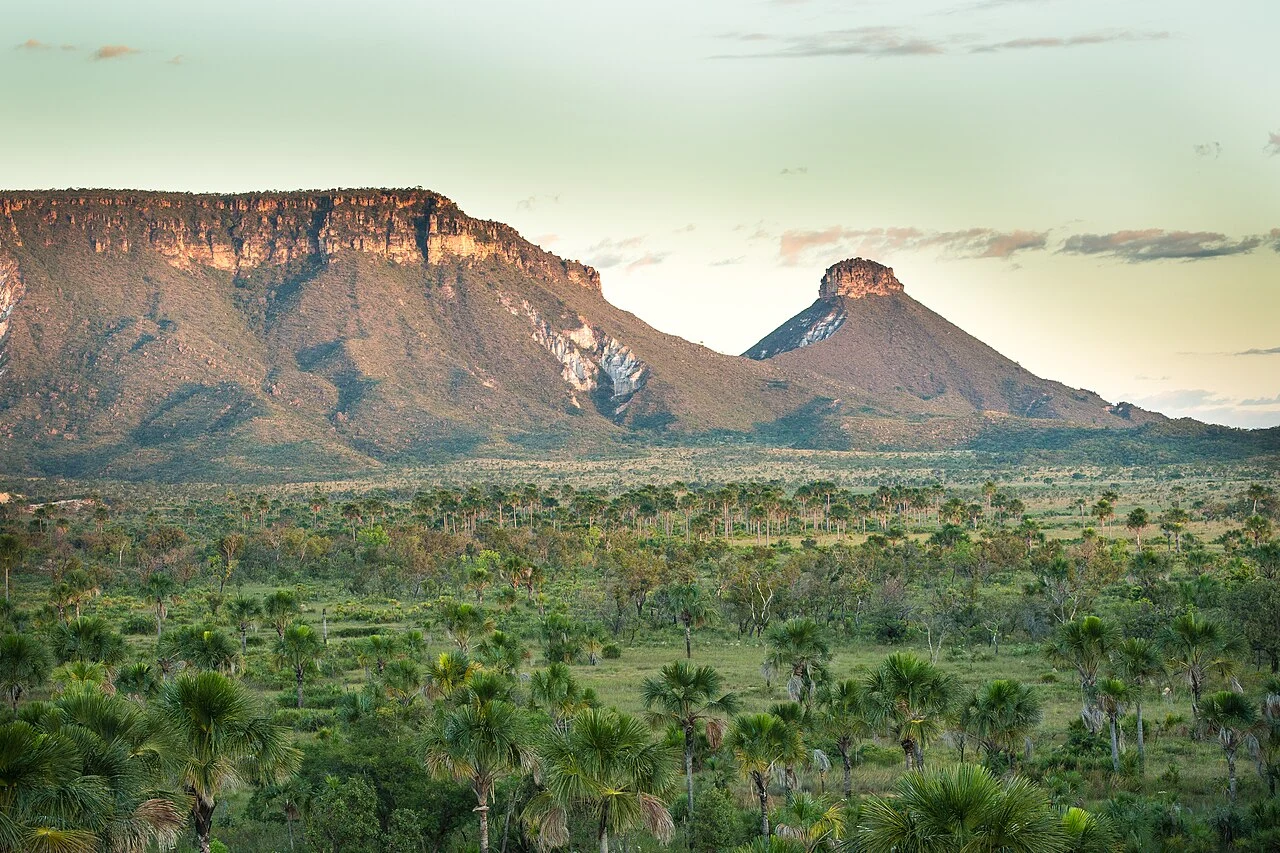 Tocantins designa 2 servidoras para a COP 31 na Turquia com diárias pagas pelo Estado