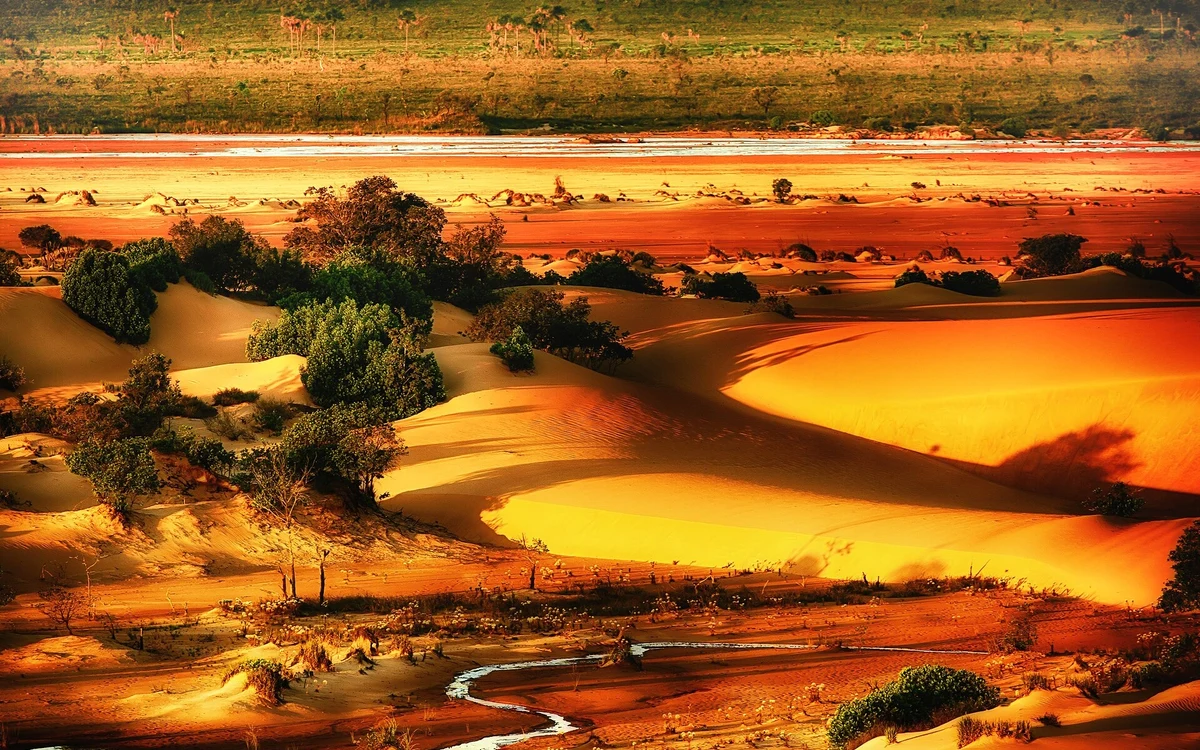 Empresas de turismo crescem 45,6% em 5 anos no Tocantins e chegam a 20.993, aponta Sebrae